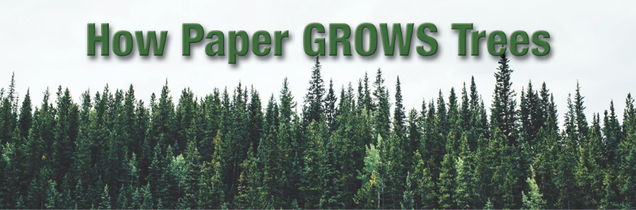 Print This Post: Here’s How Using Paper Actually GROWS Trees (and Supports Our Economy)